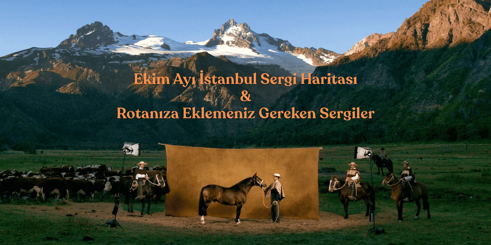 Ekim Ayı İstanbul Sergi Haritası 212 photography